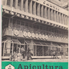 5A(000) revista-APICULTURA IN ROMANIA mai 1989