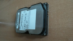 VAND HARD DISK 80 GB SP0842N foto