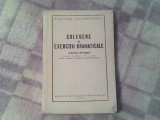 Culegere de exercitii gramaticale (fonetica,morfologie)-Pentru clasele V-VI, Alta editura