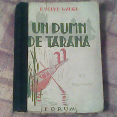 Un pumn de tarana-Evelyn Waugh