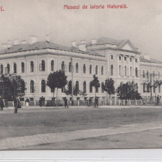 B76590 Romania bucuresti Muzeul de istorie Naturala