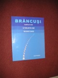 Brancusi cioplitorul in duh, Alta editura