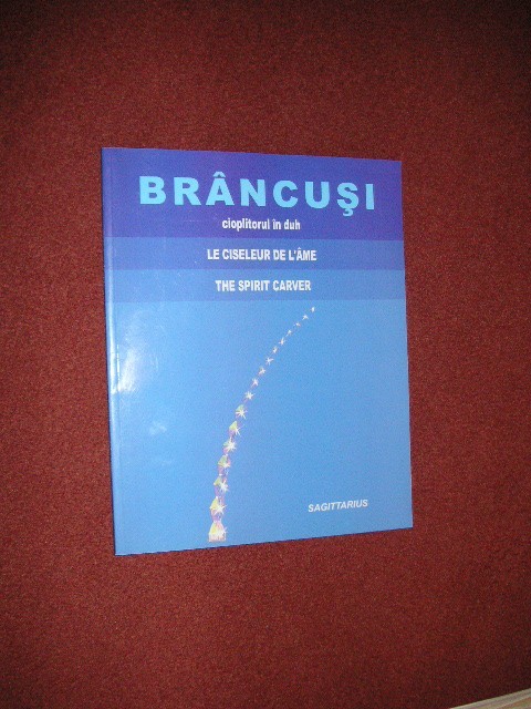 Brancusi cioplitorul in duh