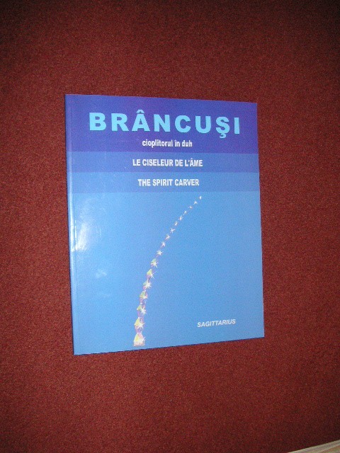 Brancusi cioplitorul in duh