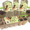 100 de vase biodegradabile pentru plante