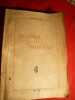 Stejar Ionescu - Domnul din Murano - Editia I, 1928, Roman, Editura Viata Romaneasca