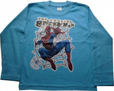 Bluza Spiderman - BS37 foto