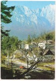 #carte postala(ilustrata)- BUSTENI-VEDERE, Circulata, Printata