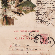 Salutari din Sinaia (Peles) - Litografie 1900- tema Casa Regala