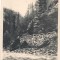 #carte postala(ilustrata)- VALEA JIULUI