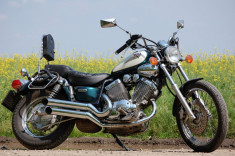 Yamaha Virago 535 2002 foto