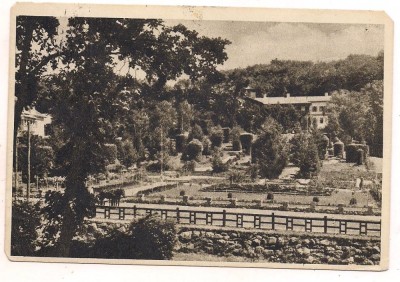 #carte postala(ilustrata)- SOVATA -Parcul foto