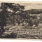 #carte postala(ilustrata)- SOVATA -Parcul