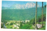 #carte postala(ilustrata)- AZUGA
