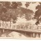 #carte postala(ilustrata)- CALIMANESTI-CACIULATA-Podul peste Olt