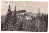 #carte postala(ilustrata)- PALTINIS-vedere