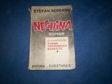 NEGHINA STEFAN RODEANU
