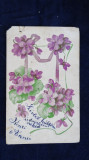 Vedere - Felicitare cu flori in relief - 1918