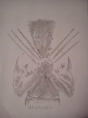 Desen creion The Wolverine foto