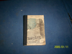 TINERETE CIUDATA DINU PILLAT foto