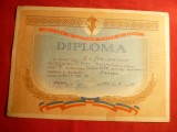 Diploma Canotaj Academic RPR -Fete seniori ,Flamura Rosie Bucuresti 1961