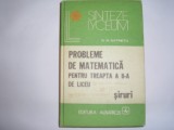 Siruri D.M.Batinetu,RF4/2,S3, Alta editura