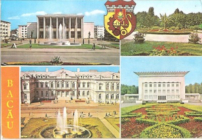 CPI (B3778) BACAU, EDITURA OSETCM, NECIRCULATA, TIMBRU IMPRIMAT foto