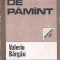 STEAUA DE PAMANT DE VALERIU BARGAU