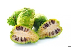 NONI - POM FRUCTIFER EXOTIC - PLANTE, PUI - EXPEDIEZ din APRILIE 2014 foto