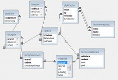 Proiect Baza de date Access - Aprovizionare materiale foto