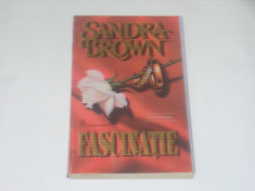 SANDRA BROWN - FASCINATIE foto