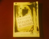 Vizuina luminata.Corp transparent,Proza, Publicistica, Arhiva, editie de Sasa Pana, Alta editura