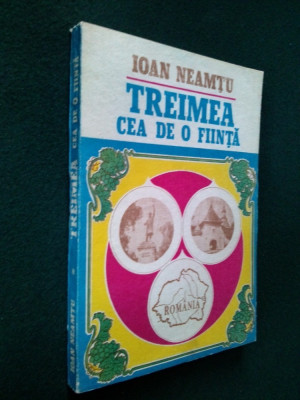 TREIMEA CEA DE O FIINTA - IOAN NEAMTU Ed. Opinia Iasi 1991 foto