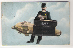 251a. Arad ilustrata cu buzunar - inedit foto