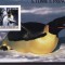 SAO TOME E PRINCIPE 2003 FAUNA POLARA PINGUINI