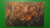 Incendiu forestier noaptea - foto C. Jandl - vedere DK 715 necirculata