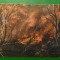 Incendiu forestier noaptea - foto C. Jandl - vedere DK 715 necirculata