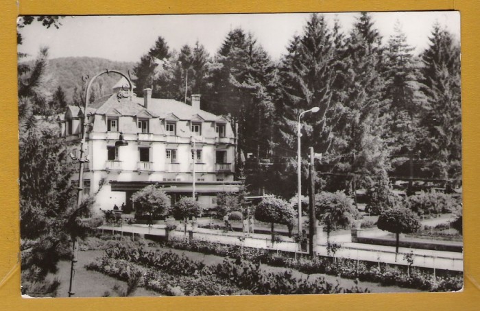 SOVATA MURES 1963 (NR 2)