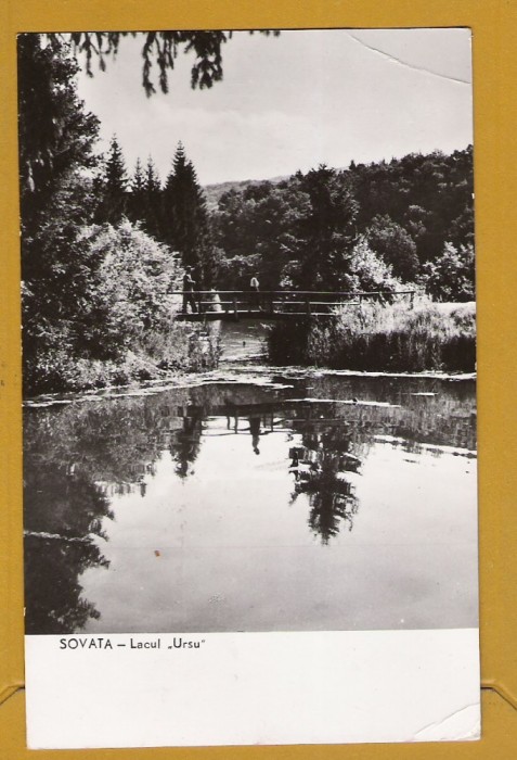 SOVATA MURES LACUL 1964