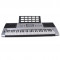 ORGA PROFESIONALA 61 TASTE CU MIDI ,U DISK MP3 PLAYER,128 TIMBRE,USB-MIDI INTERFATA,KEYBOARD PROFESIONAL.