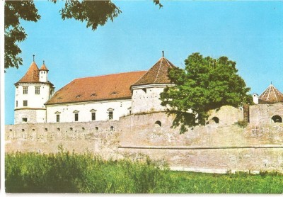 CPI (B3822) CETATEA FAGARASULUI, EDITURA OSETCM, NECIRCULATA, TIMBRU IMPRIMAT foto