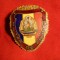 Insigna Militar de Frunte ,probabil RPR , h= 4 cm