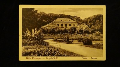 Baile Episcopia-Terasa-vedere din 1931-Circulatie tarzie &amp;#039;83 perfect fata/ verso foto