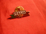 Insigna Olimpica Italia , cu buton , L= 2,5 cm
