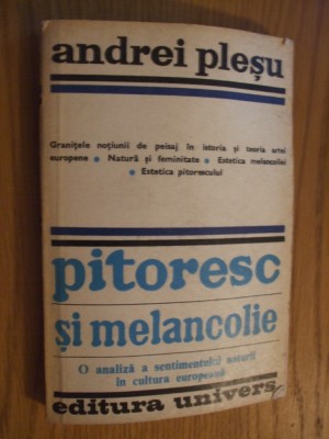 ANDREI PLESU - PITORESC SI MELANCOLIC - 1980, 262 p. foto