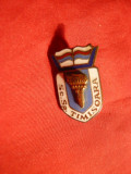 Insigna veche Scoala Sportiva Timisoara , h= 2,3 cm