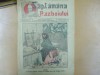 Saptamana Razboiului 24 iulie 1916 Dorinta lui Dudu