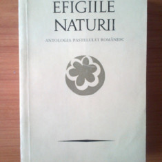 e1 Efigiile Naturii :antologia Pastelului Romanesc - Petre Stoica ,Mircea Tomus