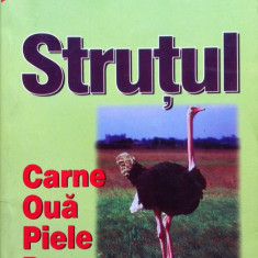 STRUTUL - CARNE, OUA, PIELE, PENE - Matthew A. Cauley