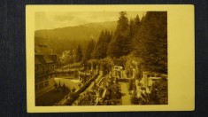Castelul Peles - Terase - Colectia C. Stefanovici - vedere necirculata P05 foto